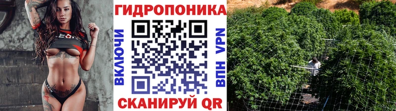 Бошки марихуана ГИДРОПОН  Купить закладки  Верхний Уфалей 
